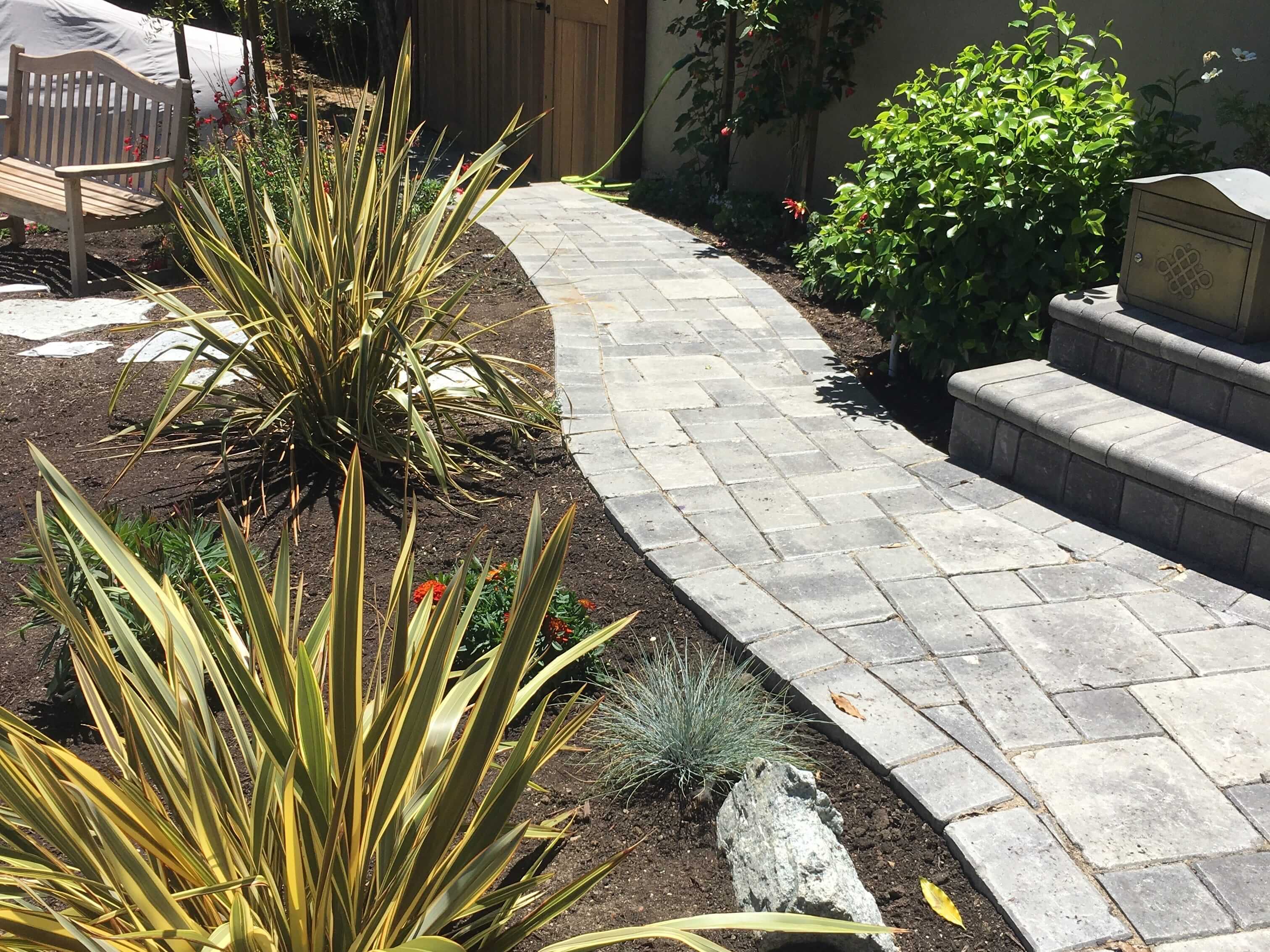 Formal garden with structured plantings