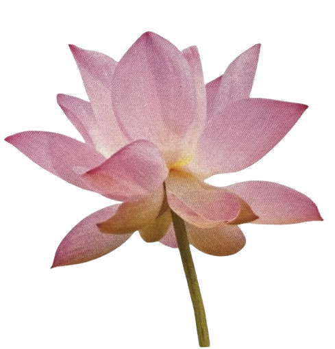 Reppards Landscaping lotus logo